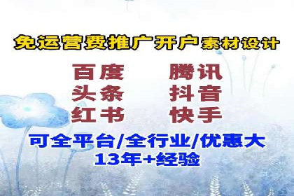 成功SEM服务案例分析报告
